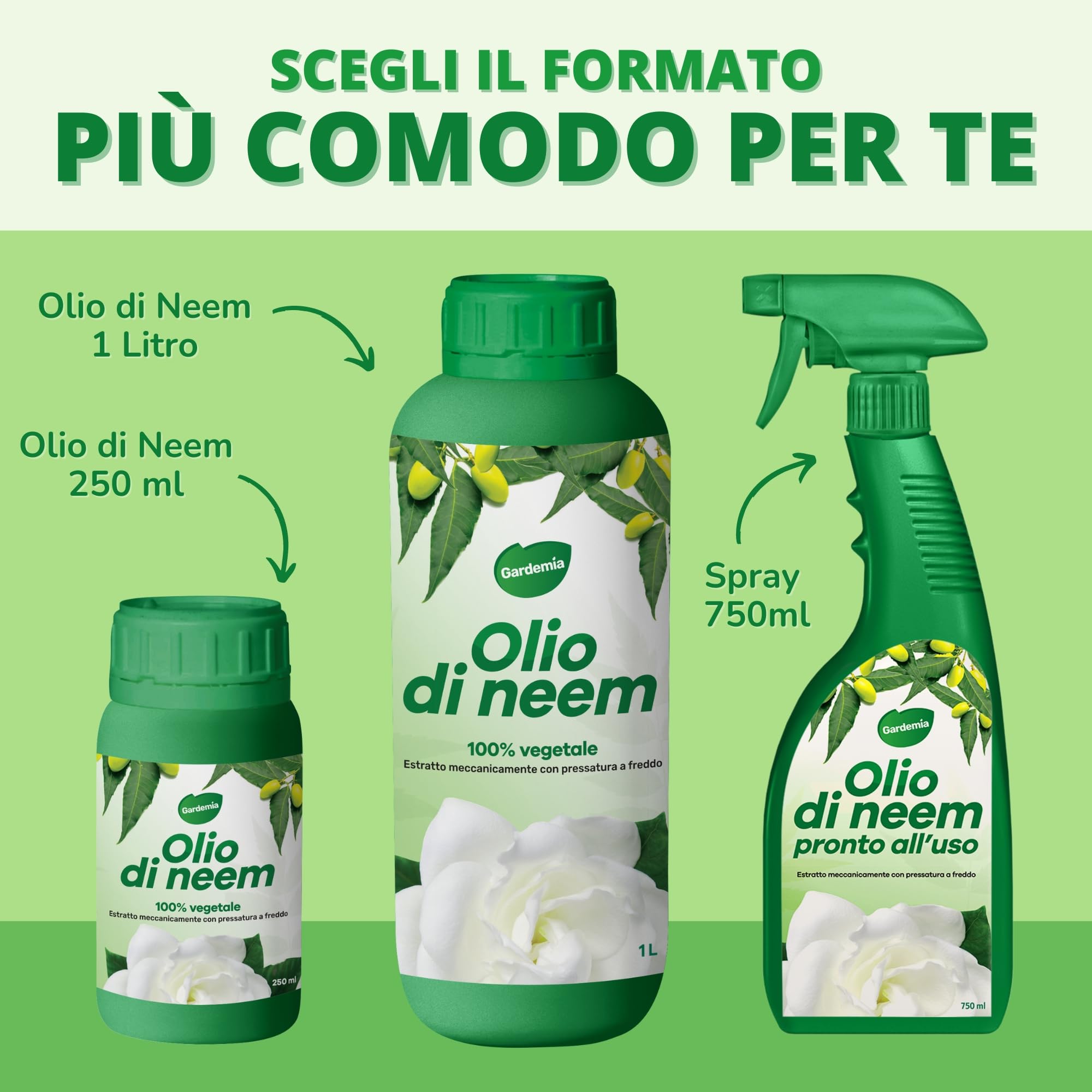 Gardemia Olio di Neem per Piante 1 Litro 100% Vegetale Azione Naturale contro varie Avversità Giardino Multiuso Concentrato Estratto Meccanicamente Pressatura Freddo Straordinarie Proprietà Naturali