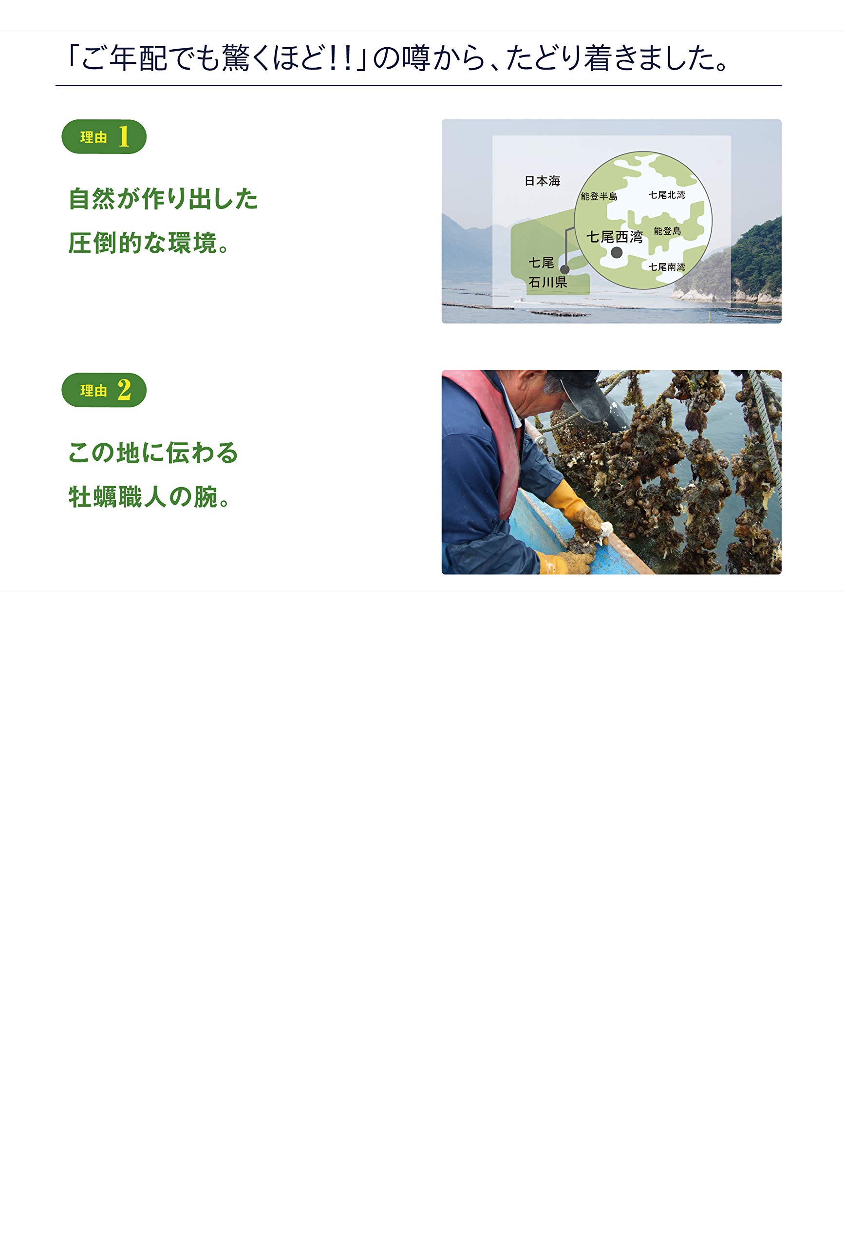 Amazon | 九州アスリート食品 ミルク牡蠣サプリメント 牡蠣 サプリ