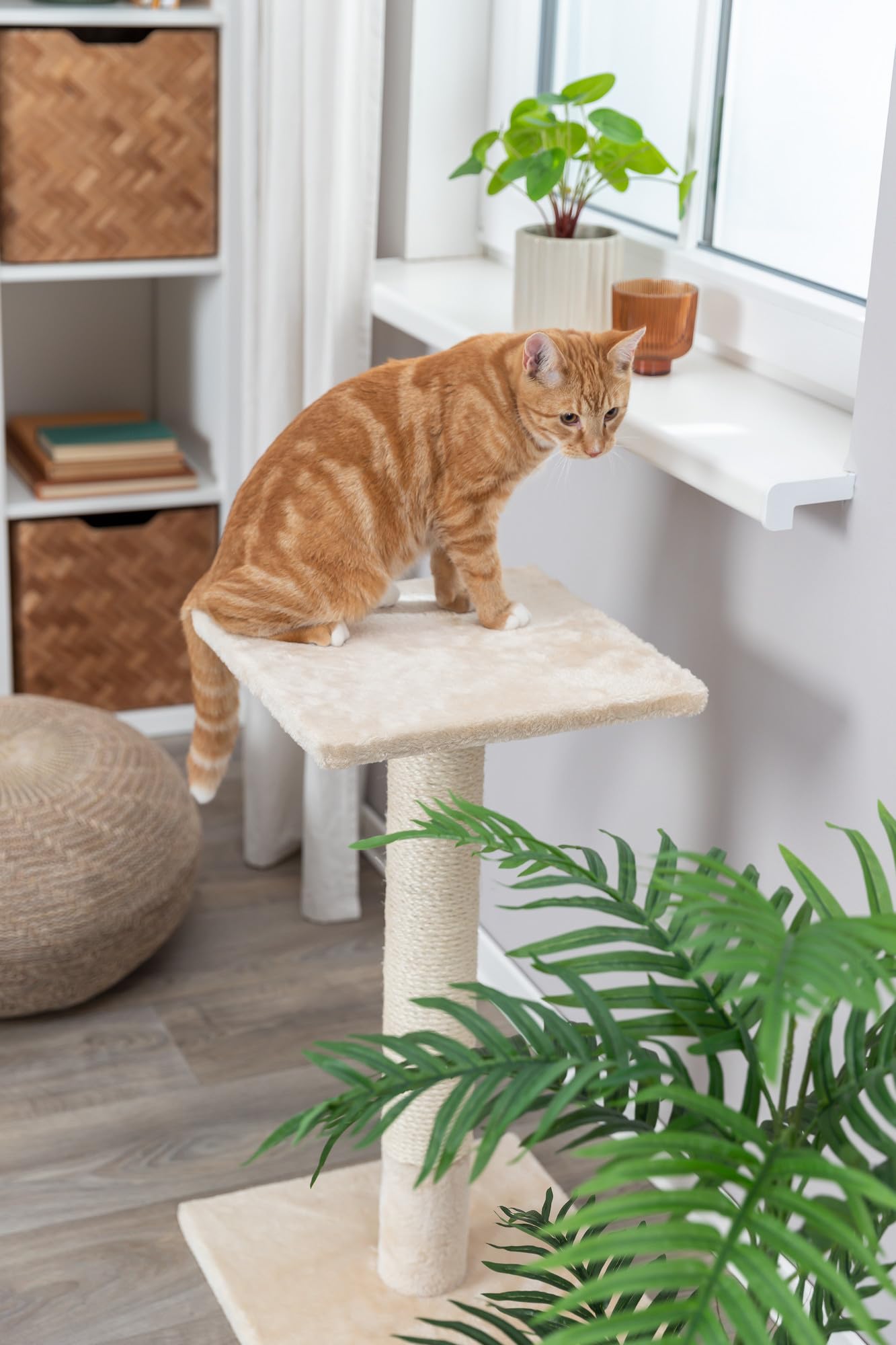 TRIXIE Poste Rascador Baena, 69 cm, Beige, para Gatos