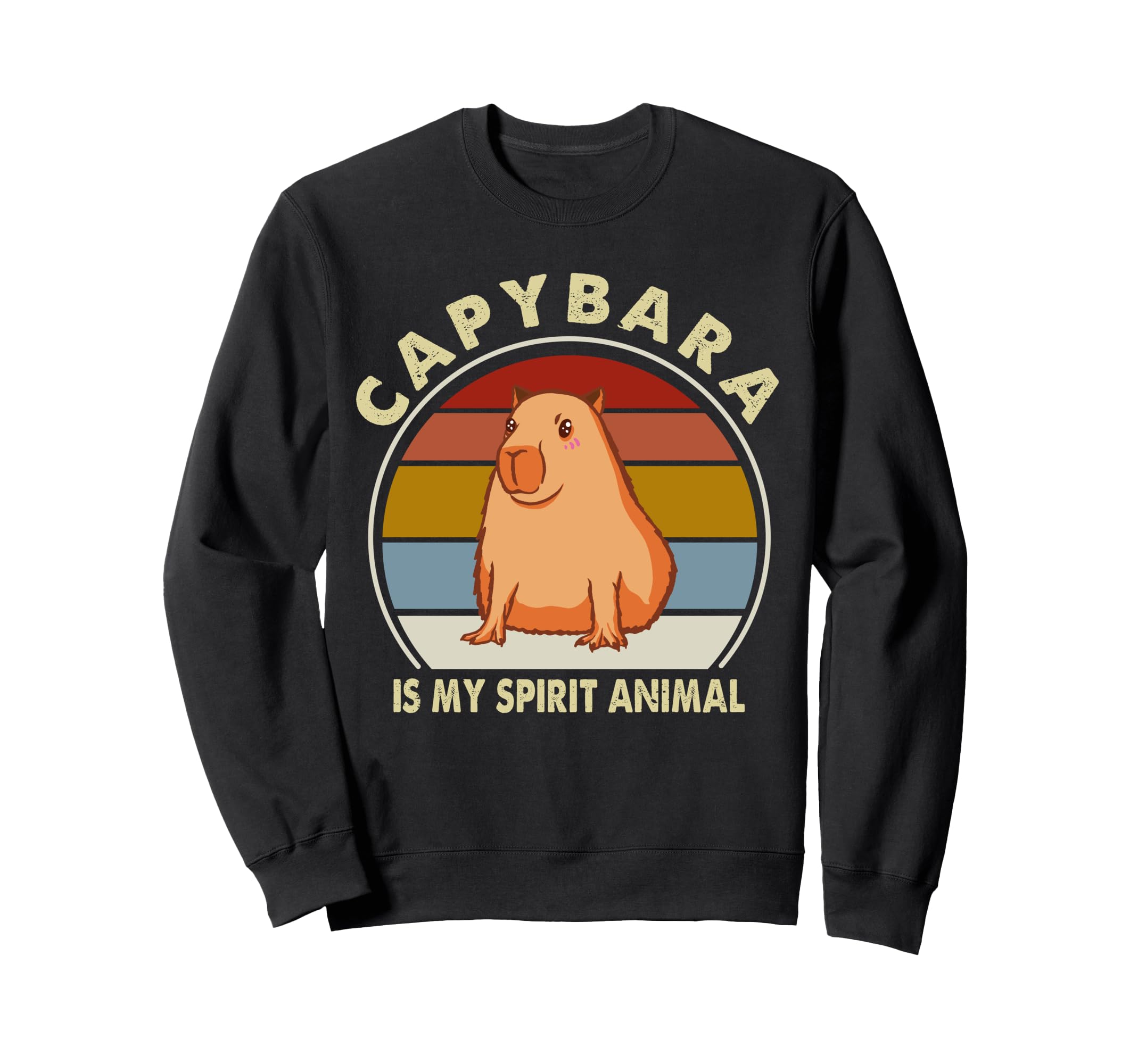 Capybara Stuff Girls Boy Capybara Costume Outfit Cappy Barra Sweatshirt