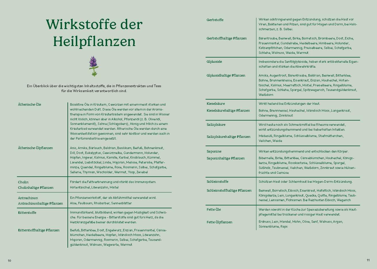 Heilen mit pflanzlichen Antibiotika: Mit 200 Rezepturen für Ihre Gesundheit. Kräutermedizin für starke Abwehrkräfte