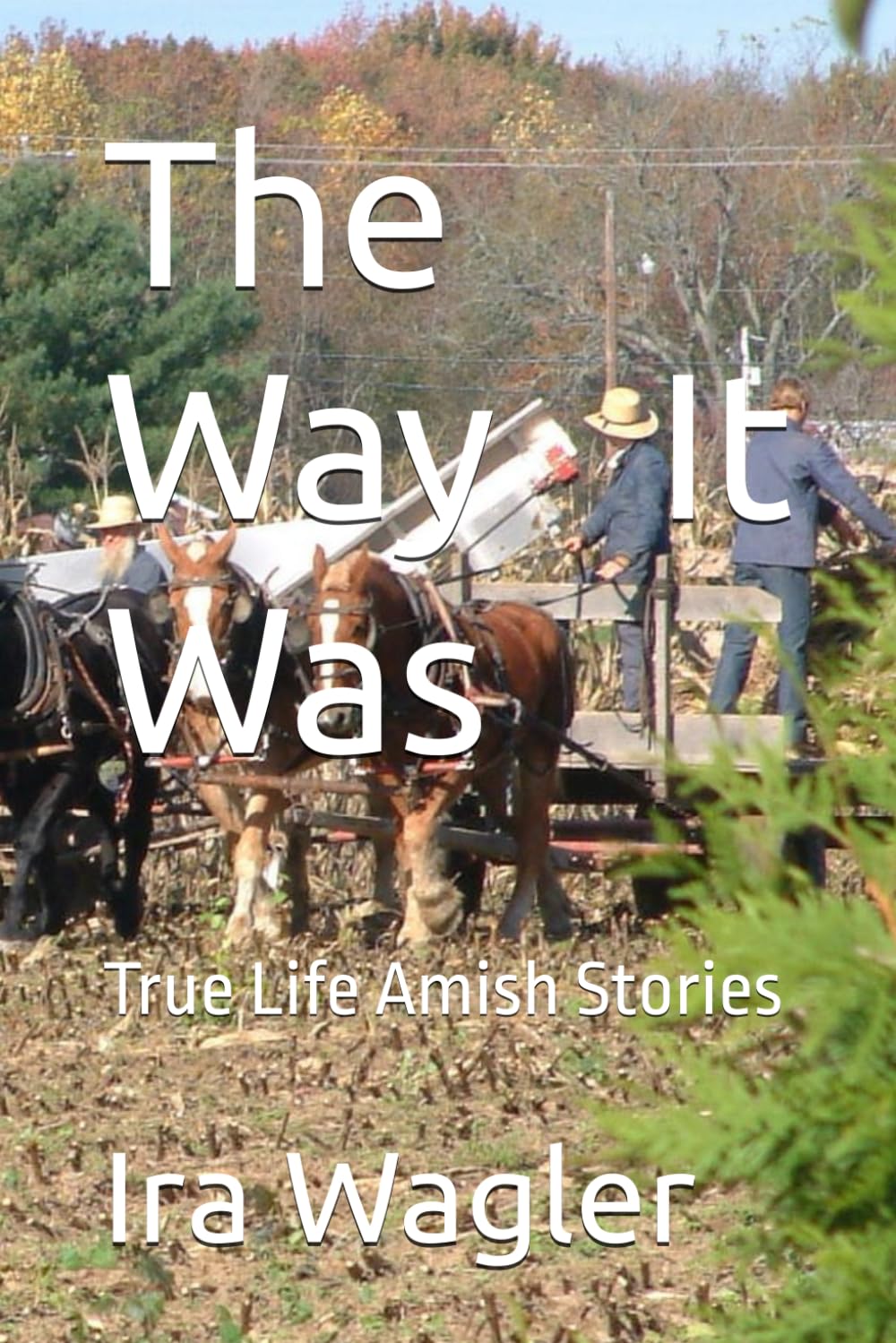 The Way It Was: True Life Amish Stories