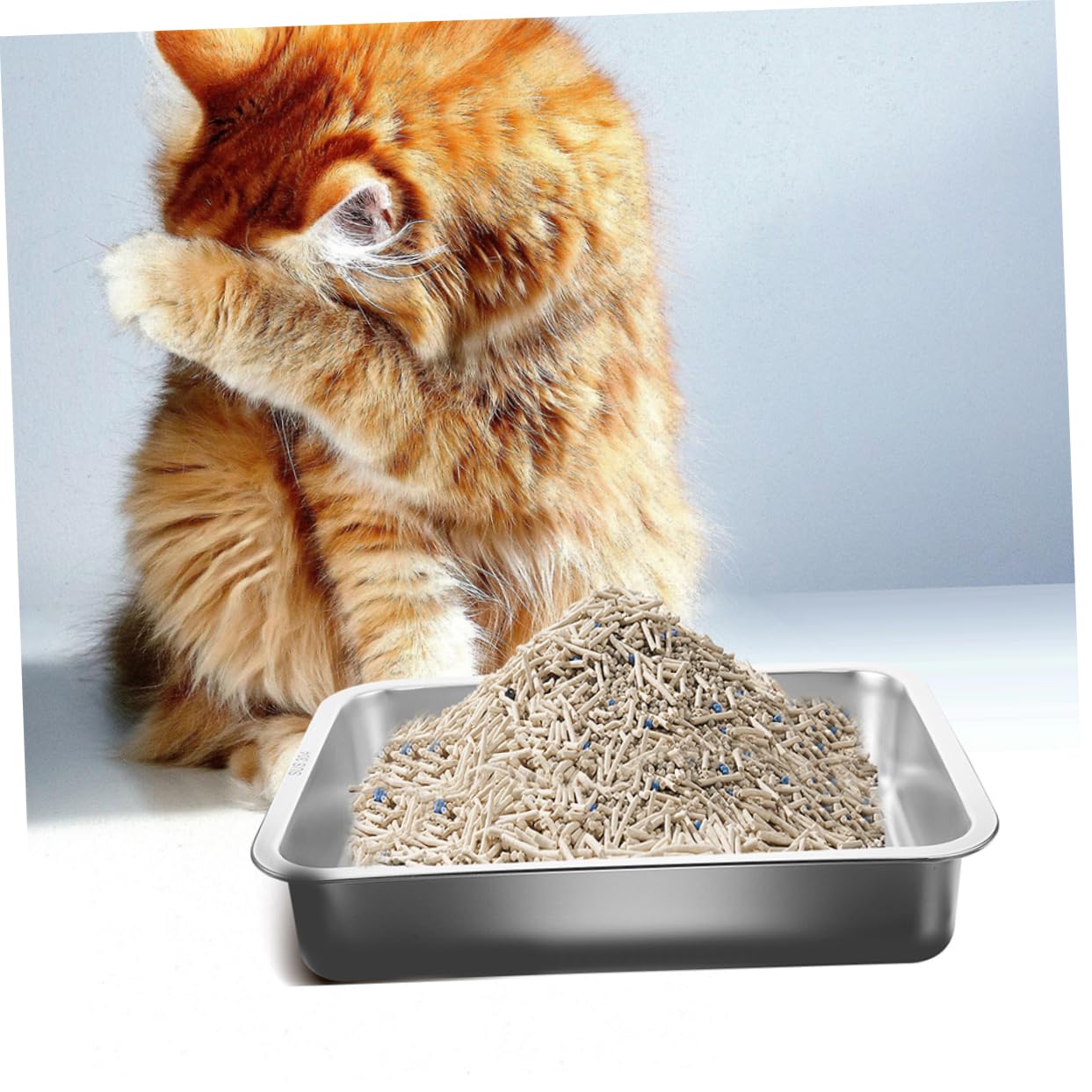 Abaodam Kleine Offene Katzentoilette Aus Edelstahl Antihaftbeschichtete Stabile Und Pflegeleichte Katzenstreu-schale Für Kitten Und Kleine Katzen Magnetfreies Design