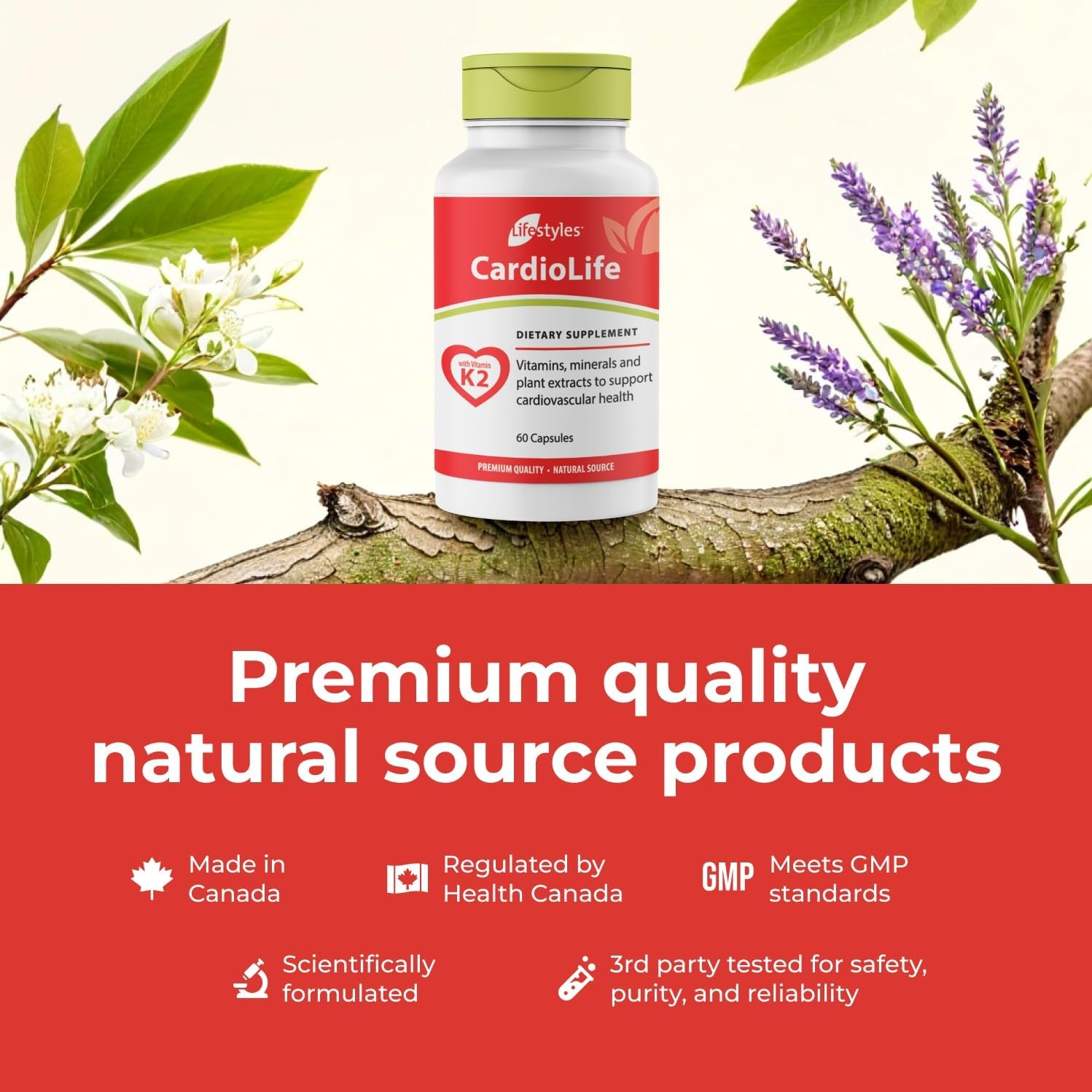 Intra Lifestyles CardioLife Supplement - Herbal Heart Health Support with Vitamin K2 (MK7), Folic Acid, Beetroot, Cayenne Extract & More – Made in Canada – 60 Capsules (1)