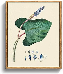 crmotu Botanical Framed Wall Art, Green Leaf Canvas Art Prints, Nature Plant Study Vintage Pictures, Minimalist Rustic Farmhouse Wall Decor, Bedroom Kitchen Desktop Bathroom Decorations, 8x10inch