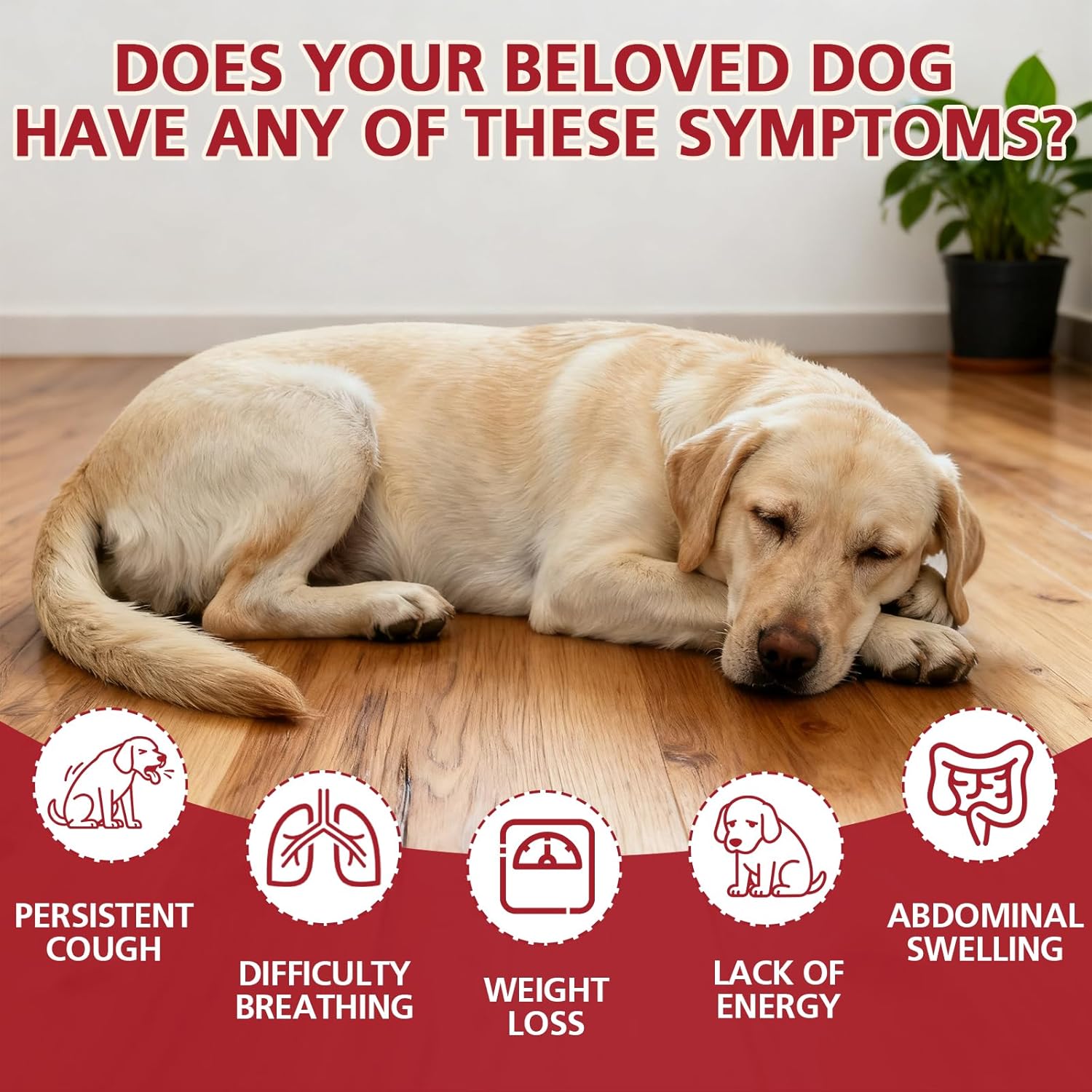 lvermect Tablets for Dogs, 99% Purity for Heart Health, Supports Canine Heart Wellness, Promotes Immune Support - 7.5mg(100 Tablets)