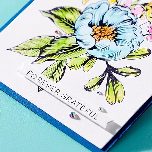 Miniatura 3 de Spellbinders Always and Forever BetterPress - Placas de prensa de tipografía, metal