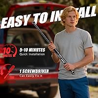 Vista 4 de Resortes a gas traseros para cajuela, 2