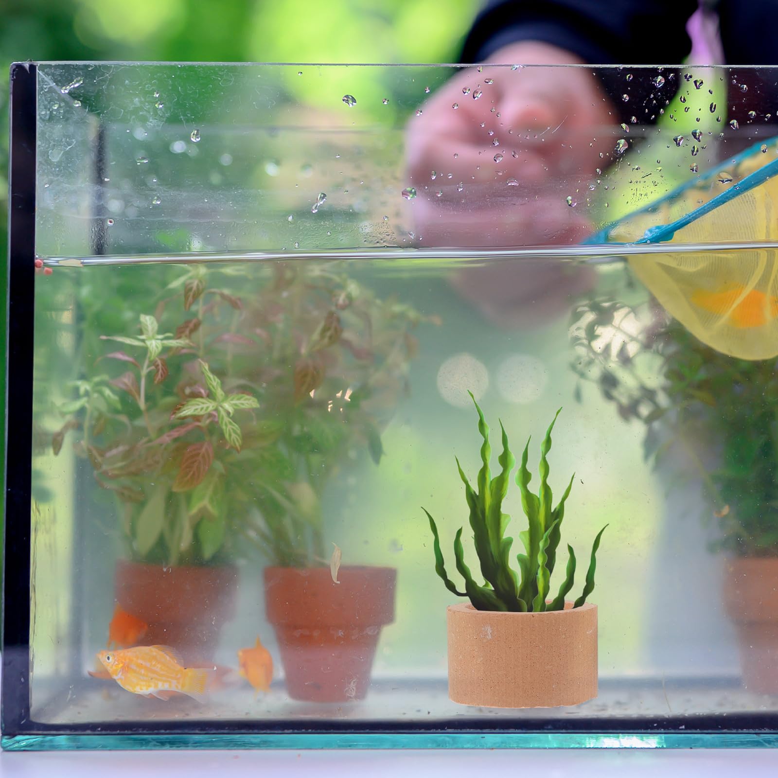 Keramik Pflanzenhalter Ring 12 Stück Aquariumpflanzen Befestigungsringe Wasserpflanzen Fixiergewichte für Aquarium und Garnelenversteck