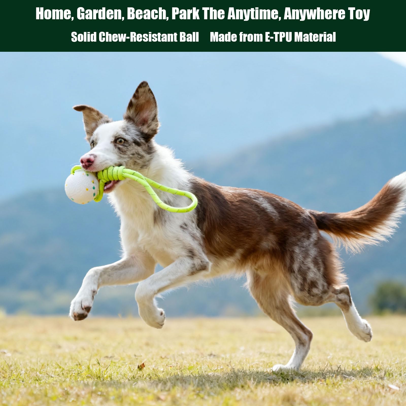 View 2