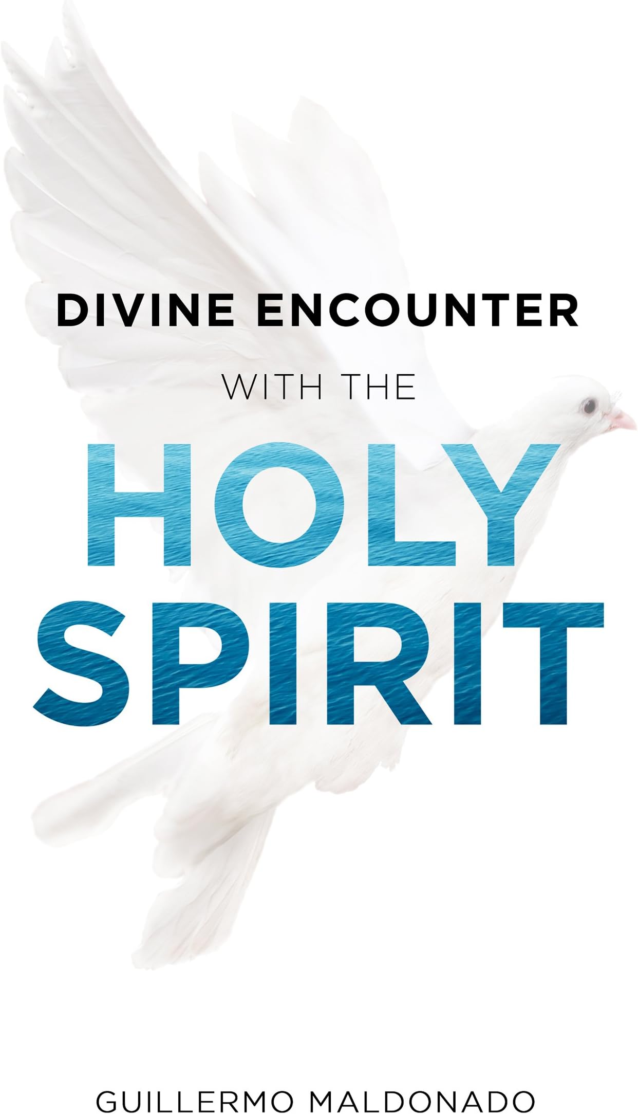 Divine Encounter with the Holy Spirit