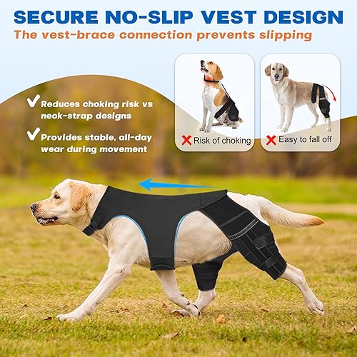 Miniatura 4 de Rodillera para perro para pierna trasera desgarrada del ACL – Soporte ajustable para la pierna trasera del perro con 4 estabilizadores de metal