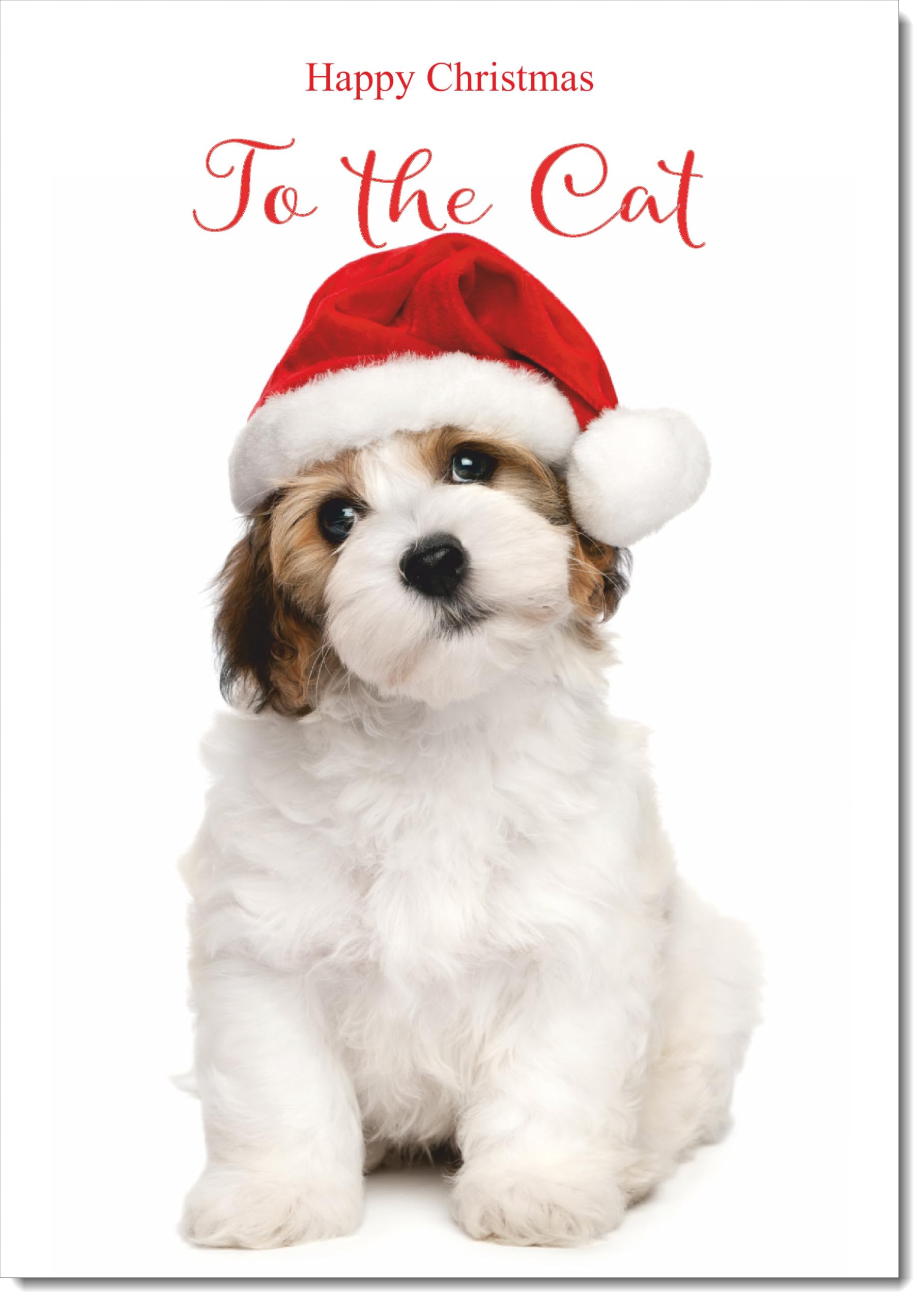 doodlecards To The Cat Christmas Card Dog and Santa Hat Large A4 Size Christmas Card for To The Cat with Plain Envelope