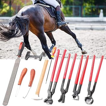 Horse Farrier Tool, 9Pcs Steel Iron Horseshoe Trim Cutter Pliers Horse Hoof Rasp with Ergonomic Handle Hammer Hoof Tool
