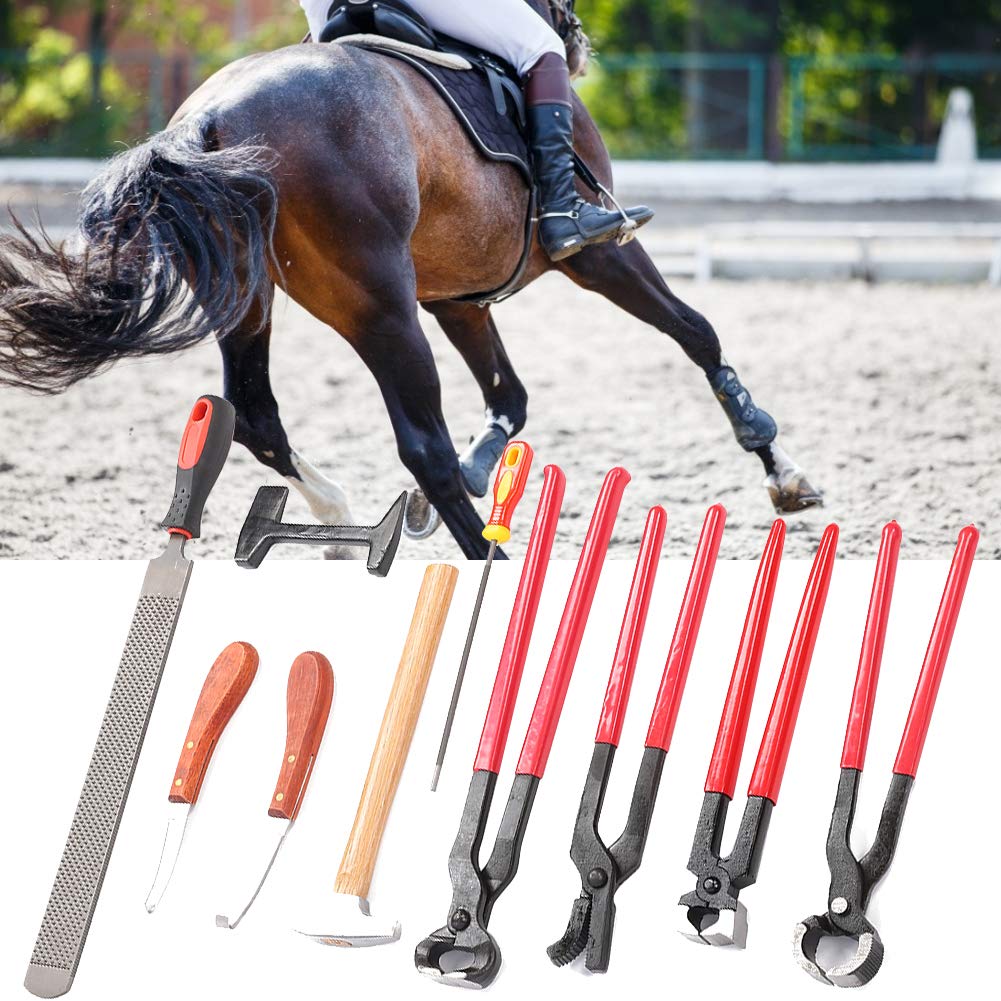 Generic Strumento Maniscalco Cavallo, 9 Pezzi Acciaio Ferro Ferro di Cavallo Trim Cutter Pinze Raspa Zoccolo di Cavallo con Manico Ergonomico Strumento Martello Zoccolo