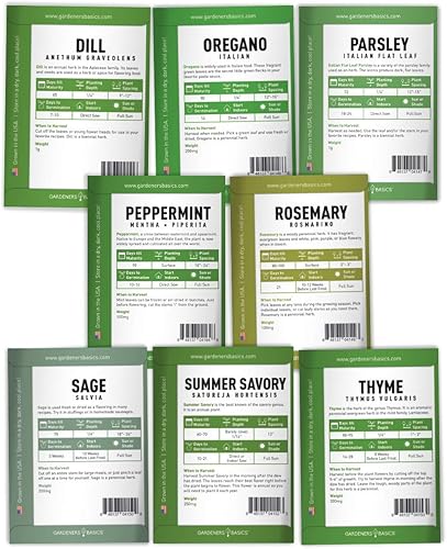 Miniatura 8 de 5200 Semillas de 15 variedades tradicionales no transgénicas, interior, hidropónicas, aire libre: albahaca, hierba gatera, cebollino, cilantro