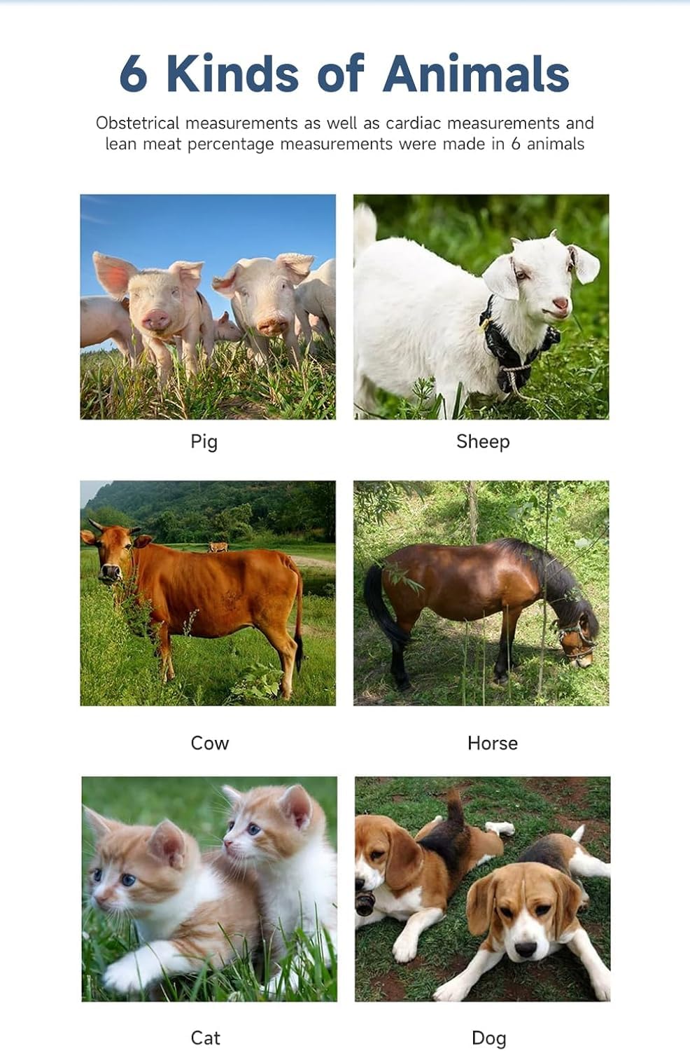 Macchina per ultrasuoni veterinaria, Tester di Gravidanza ad ultrasuoni B Veterinario, 16 Tipi di Pseudo Colori ad Alta Definizione, Dispositivo diagnostico Meccanico a scansione da 5,0 MHz,