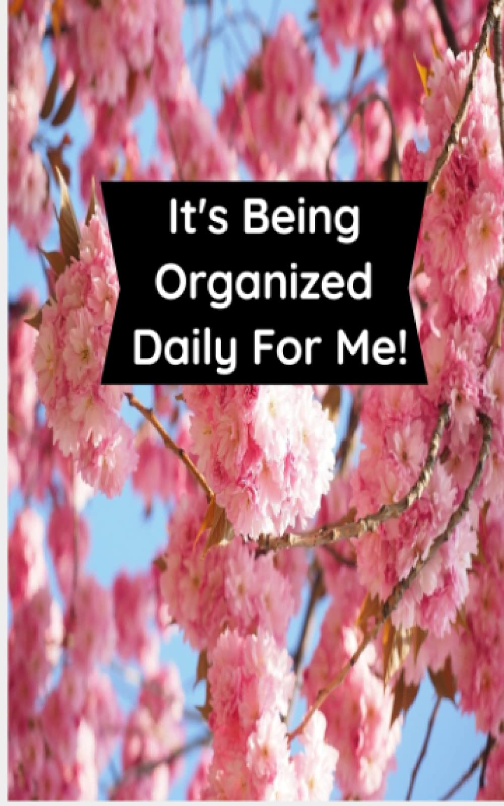 It's Being Organized Daily For Me!