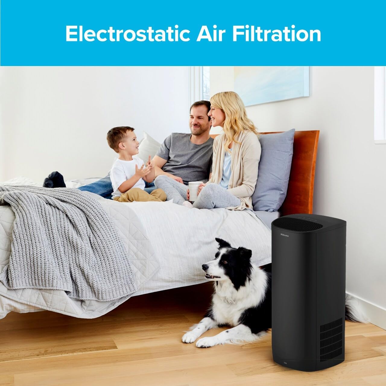 Filtrete F2 Room Air Purifier Filter, True HEPA Premium Allergen, Bacteria, and Virus, 13 in. x 8.2 in., 2-Pack, works with devices: FAP-C02, FAP-C03, FAP-SC02, and FAP-T03 - Image 4