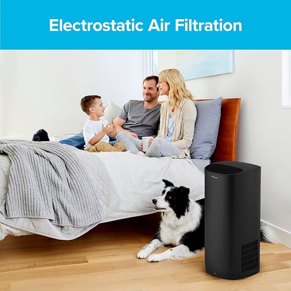 Filtrete F2 Room Air Purifier Filter, True HEPA Premium Allergen, Bacteria, and Virus, 13 in. x 8.2 in., 2-Pack, works with devices: FAP-C02, FAP-C03, FAP-SC02, and FAP-T03