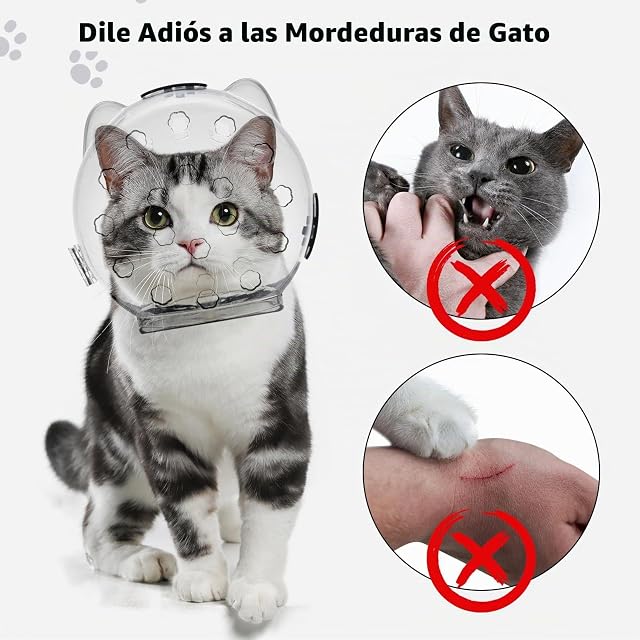 Foto 4 de 6 de PETCUTE Bozales para Gatos,Bozales Transpirables Antimordida para Gatitos,Cabeza Transparente Protectora…
