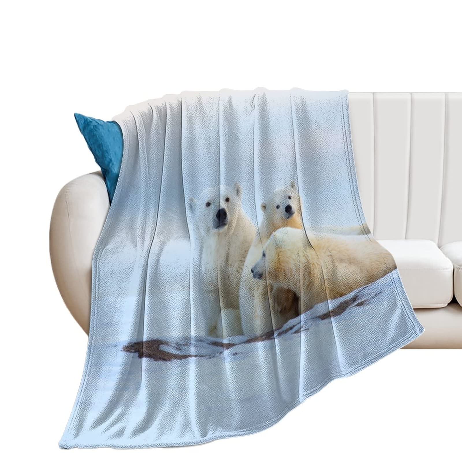 Cadeau idéal : grande couverture ours polaire en peluche douce pour vos proches