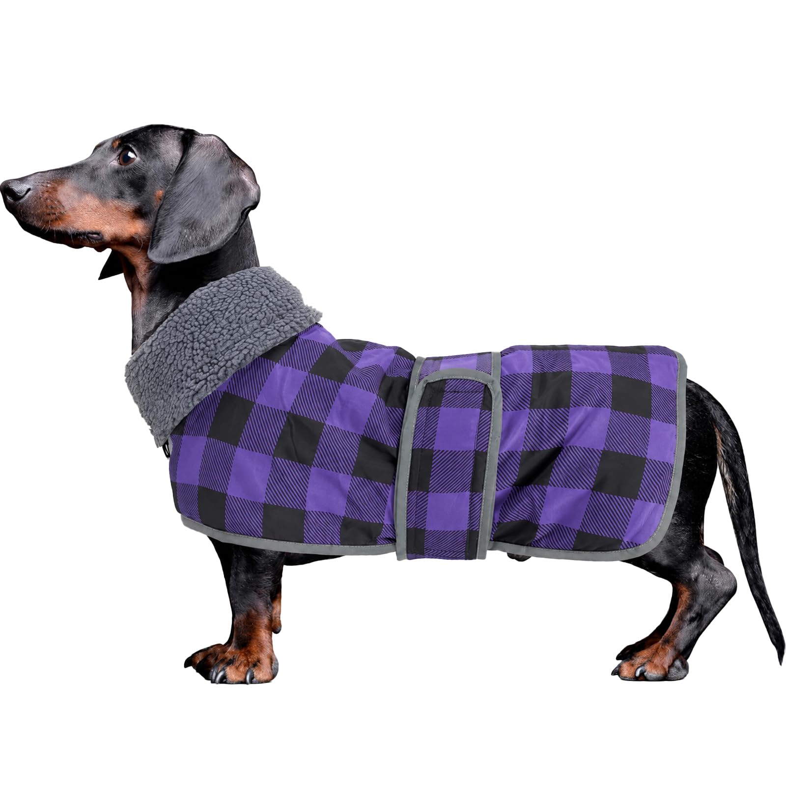 Geyecete dachshund jumper sausage dog coat grid dachshund waterproof coat