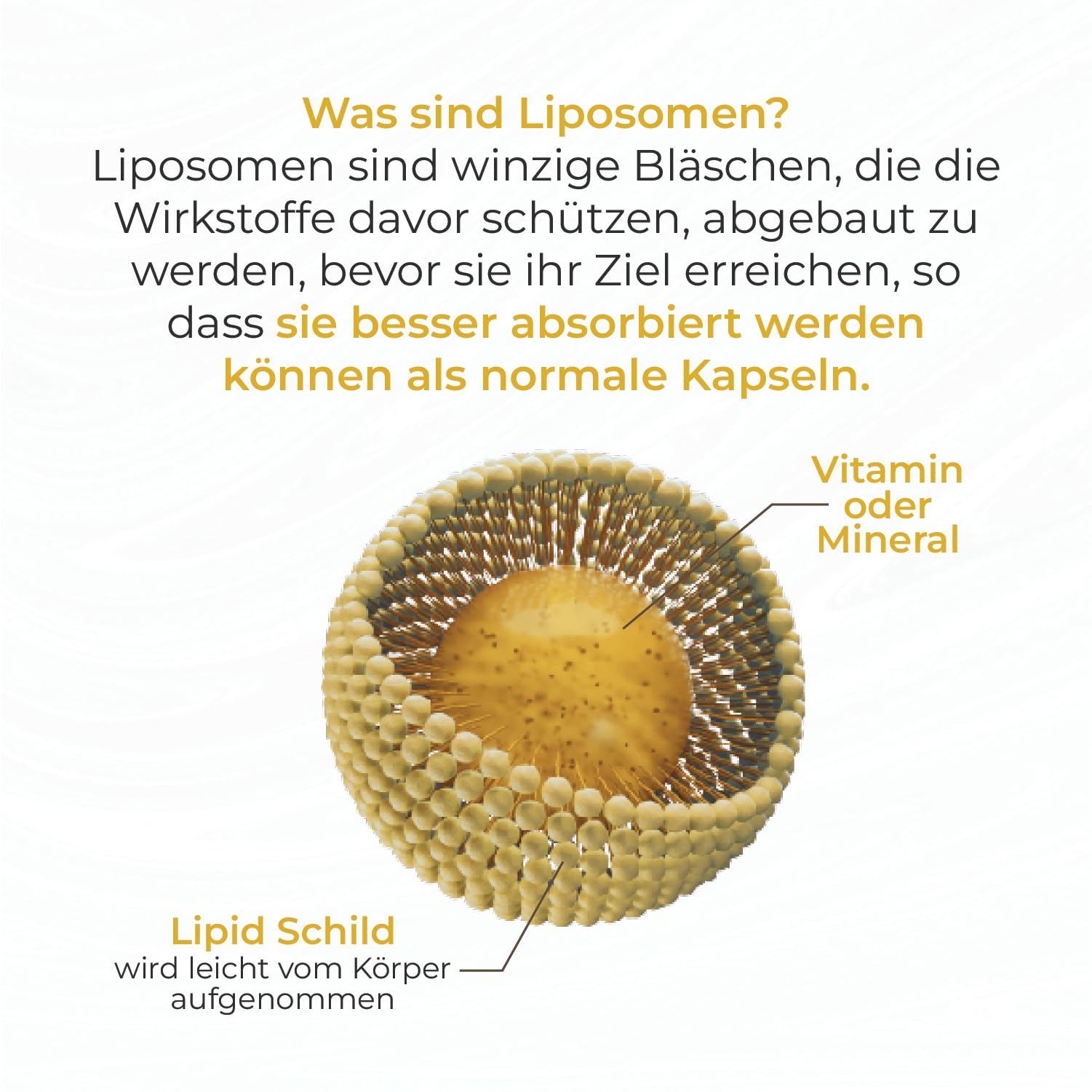 Vitamin C mit Zink - Für Immunsystem & Zellschutz - Liposomale Technologie garantiert volle Vitaminaufnahme - 90 Kapseln 3er-Pack - Vegan, Hochdosiert - GMP Qualität - Keine Zusatzstoffe