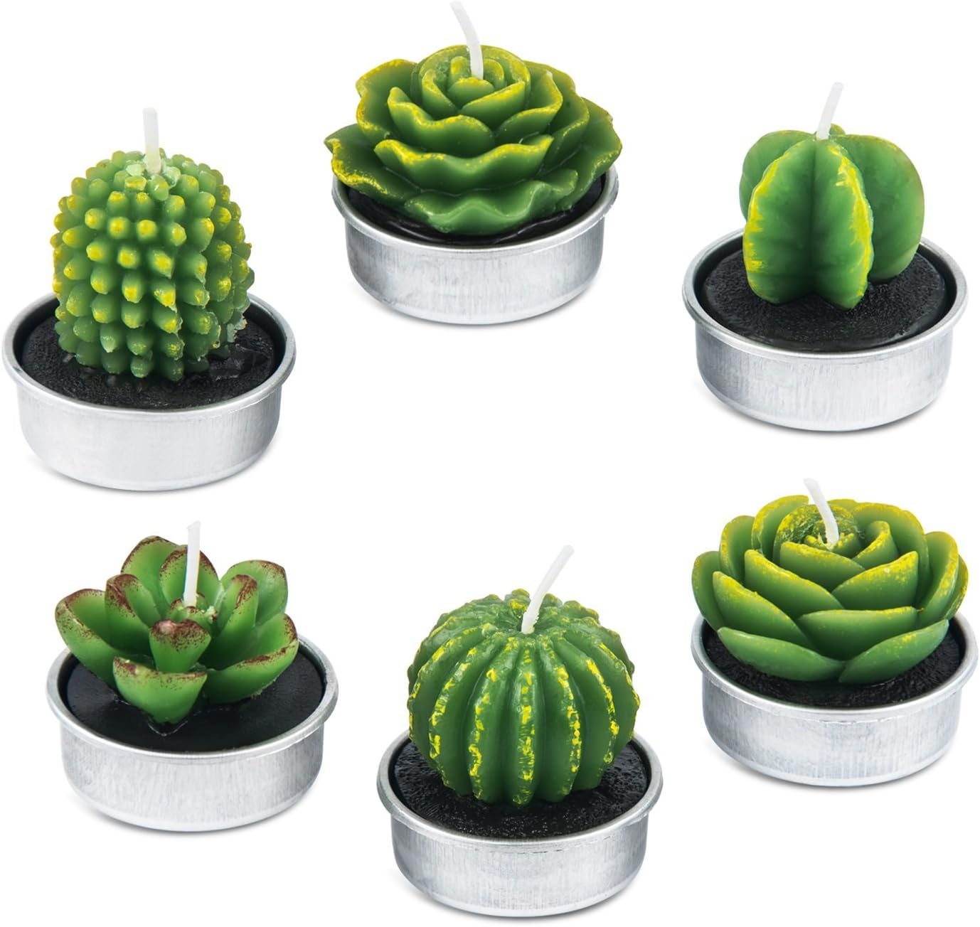 Handmade Delicate Succulent Cactus Candles for Birthday Party Wedding Spa Home Decoration(6 Packs-1)