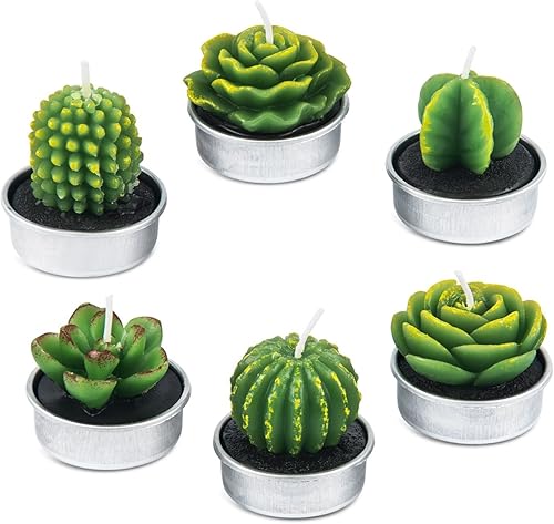 Delicadas velas de cactus suculentas hechas a mano para fiesta, boda, spa, decoración del hogar (24 paquetes)