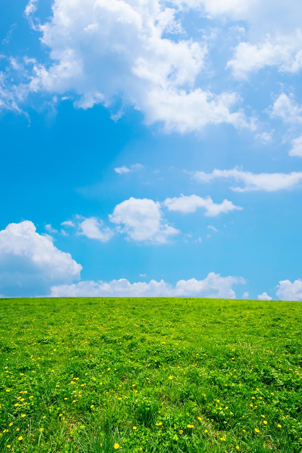 SADFA 3x5ft Natural Backdrops Green Grassland Photograph Backdrop White Clouds and Blue Sky Backgrounds for Photo Booth Screen Backdrop