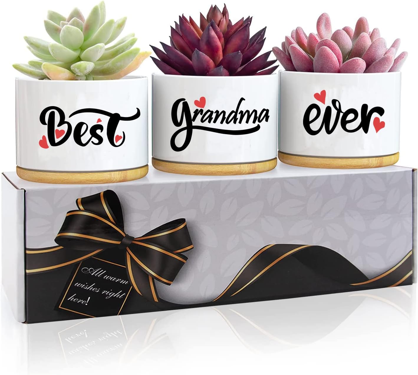Easymoo Birthday Gifts for Grandma,Grandma Gifts,50th Birthday Gifts for Grandma, Presents for Grandma, Grandma Birthday Gifts Box for Her, Garden Gifts for Grandma Succulent Pots 3 PCS
