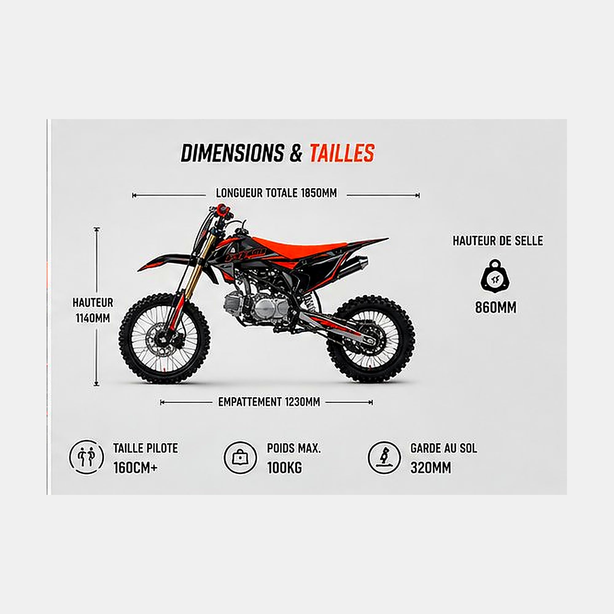 PROBIKE Dirt Bike 125-S 17/14 Rouge Édition 2026 | Pit Bike Cross 125cc 9CV 4T | Suspension Totale Disques Freins | Piste Ado/Jeune Adulte