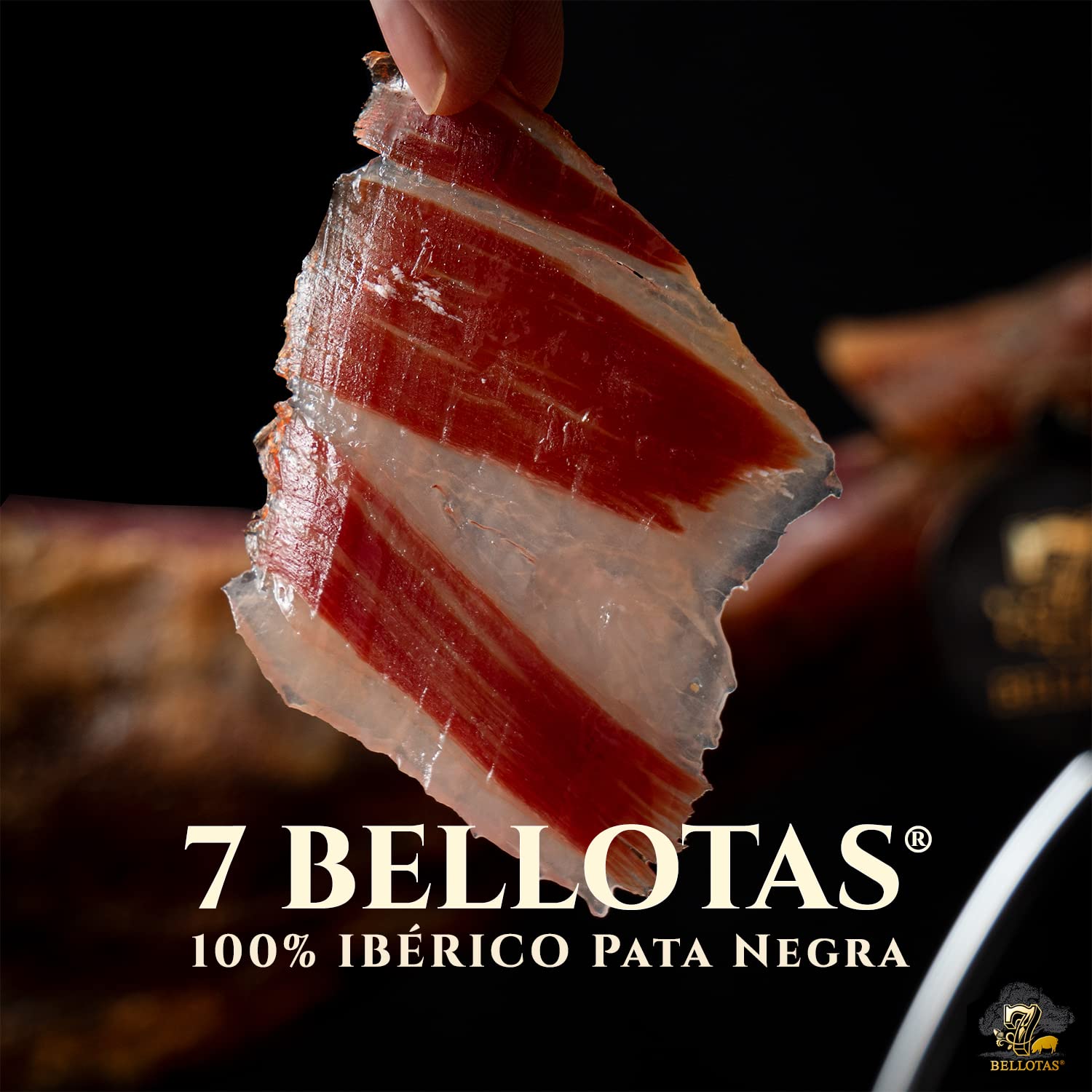 7 BELLOTAS Iberischer Eichel-Schinken | JAMON 100% IBERICO Feldköderschinken Bellota PATA NEGRA | Spanischer Schinken BELLOTA 48 Monate (Ohne Knochen +1,0KG)