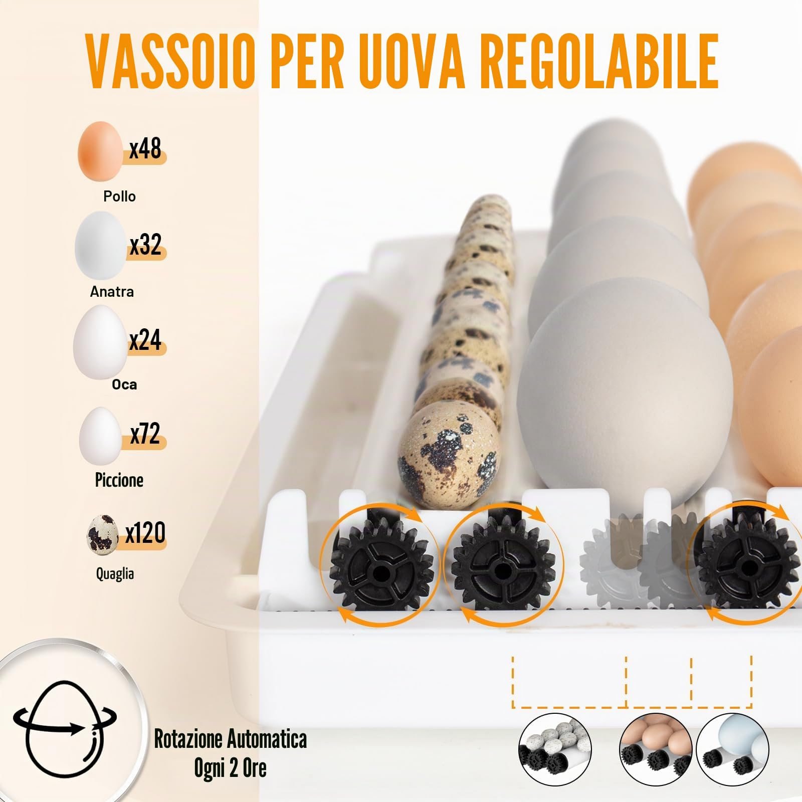 Todeco Incubatrice Automatica 48 Uova, Controllo Temperatura | Rotazione automatica delle uova, aggiunta automatica dell'acqua, portauova regolabile, con ovoscopio LED,doppia alimentazione