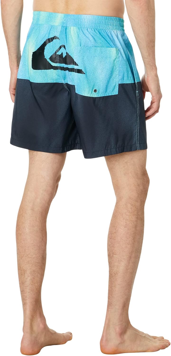 Quiksilver Butt Logo 17" Volley