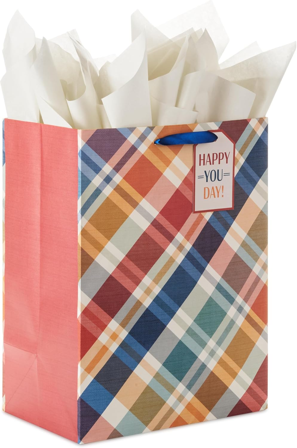 Hallmark 13" Large Gift Bag with Tissue Paper (Rad Dad, Best Dad Ever) for Birthdays, Father's Day, Congratulations, Thank You