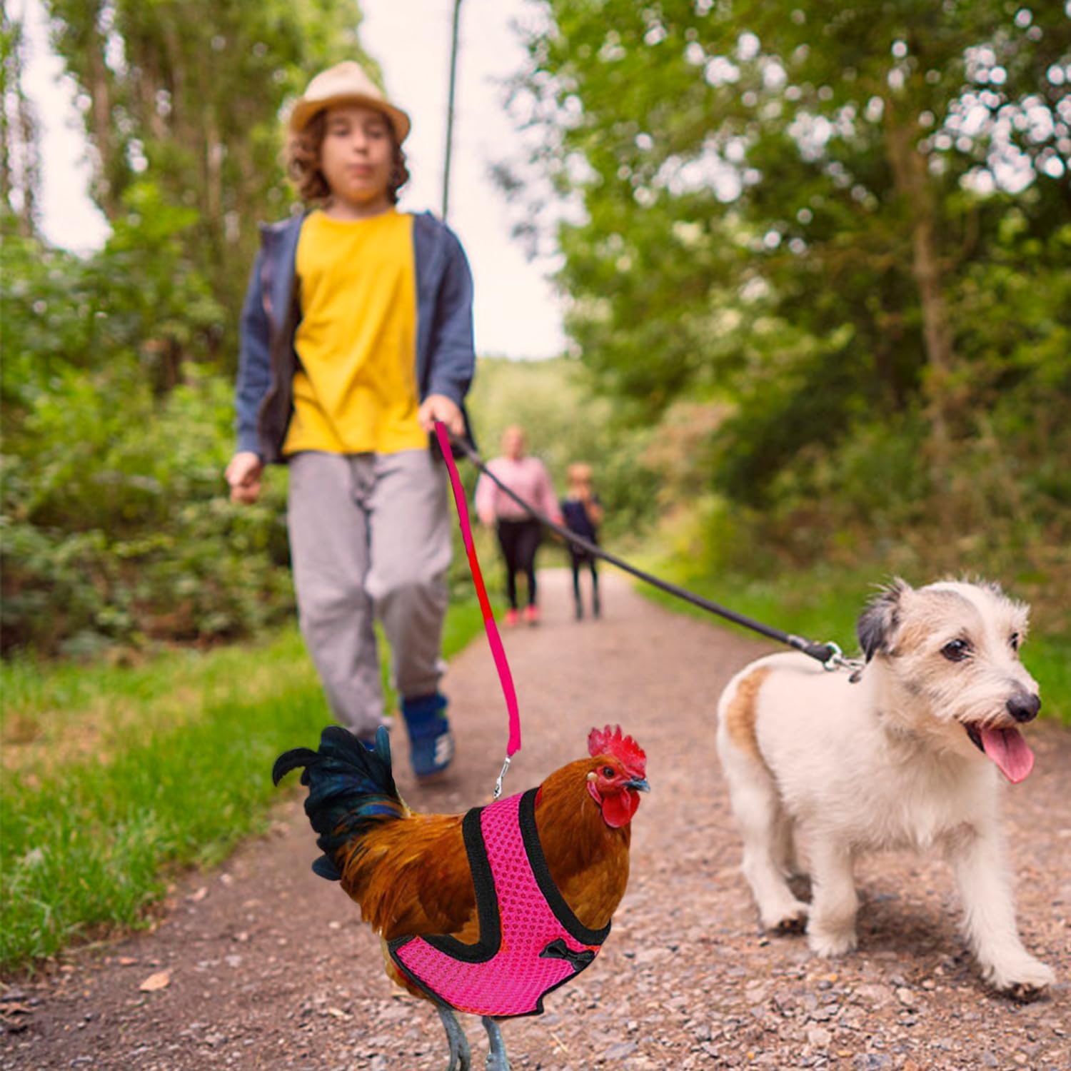 Corde De Traction pour Animaux De Compagnie en 1 Parts, 5 Anneaux D'Identification des Pieds, Réseau Confortable Et Respirant, Élé, À L'Extérieur dans La Ceinture De Traction De Poulet Gratuite.