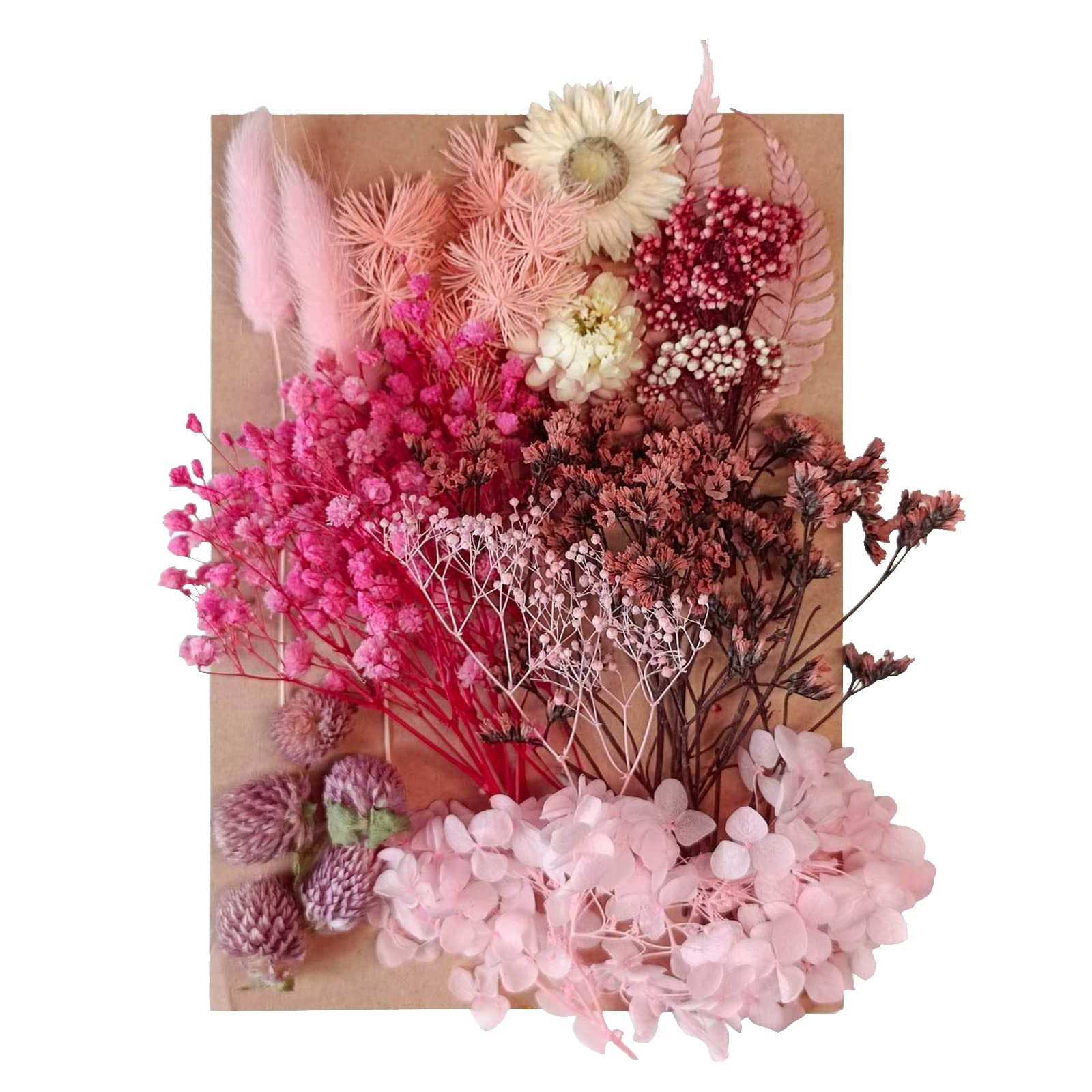 Fiori secchi Foglie di fiori secchi pressati misti Fiori artificiali decorativi naturali multipli Fiori secchi per artigianato Torte in resina Gioielli fai da te Nail Art Scrapbooks (Pink)