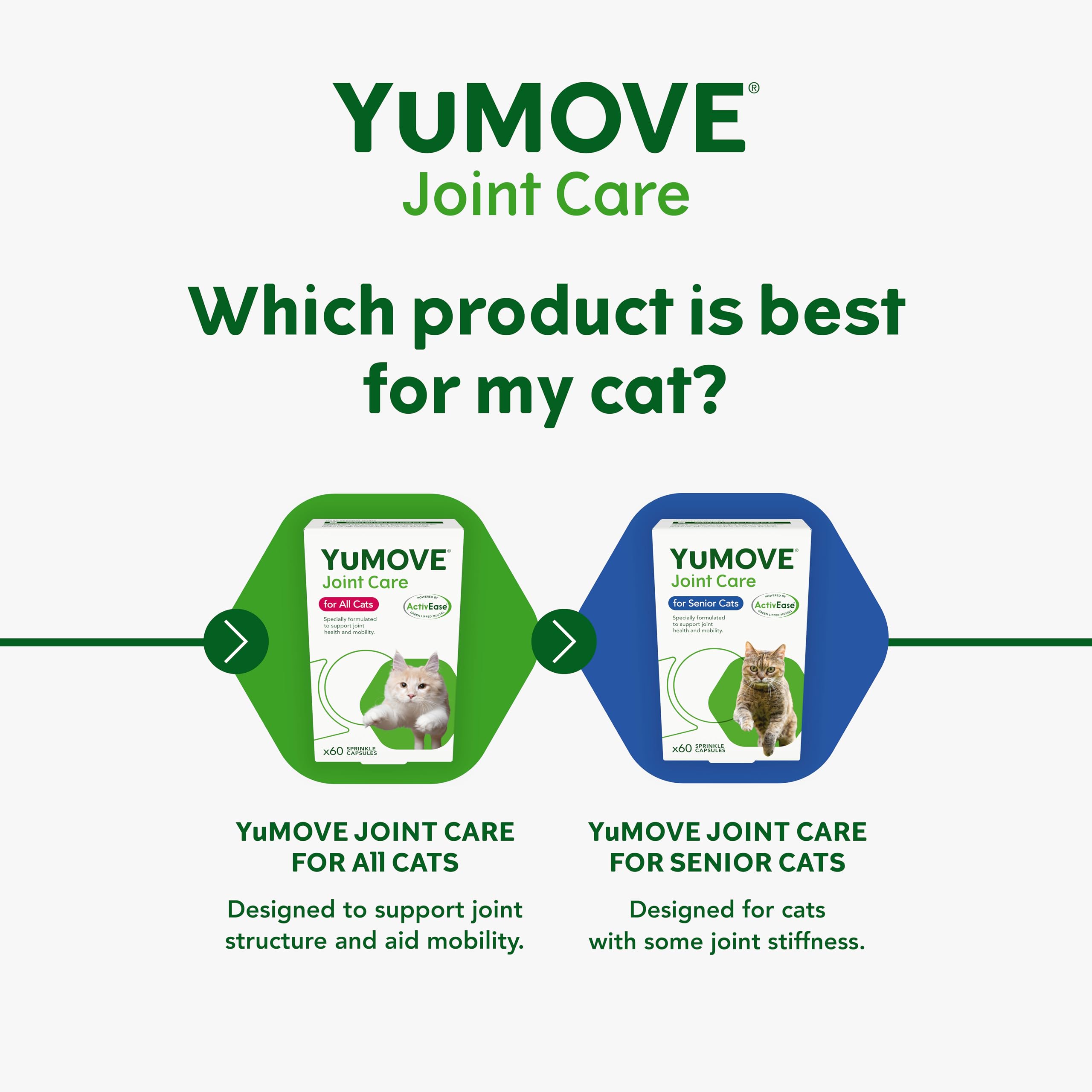 Suplement YuMOVE Senior Cat – ochrona i wsparcie stawów, z glukozaminą, chondroityną i małżem nowozelandzkim, dla starszych kotów ze sztywnościąstawów, 60 kapsułek – opakowanie może się różnić