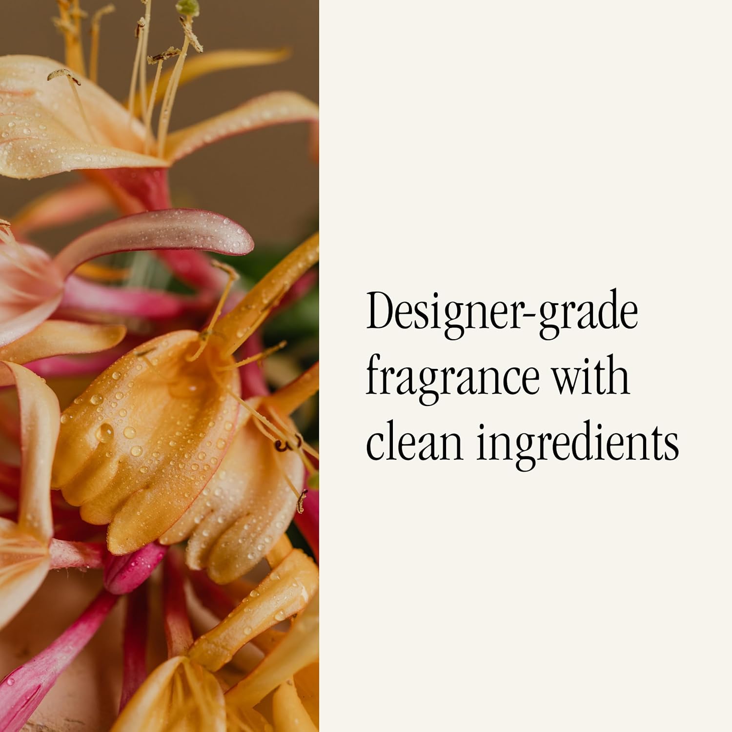 Pura & Simplicity Home Scent Refill - Smart Air Diffuser - Up to 120-Hours of Luxury Fragrance per Refill - Home Essential - Clean & Safe Diffuser Fragrance - 2 Pack, Honeysuckle