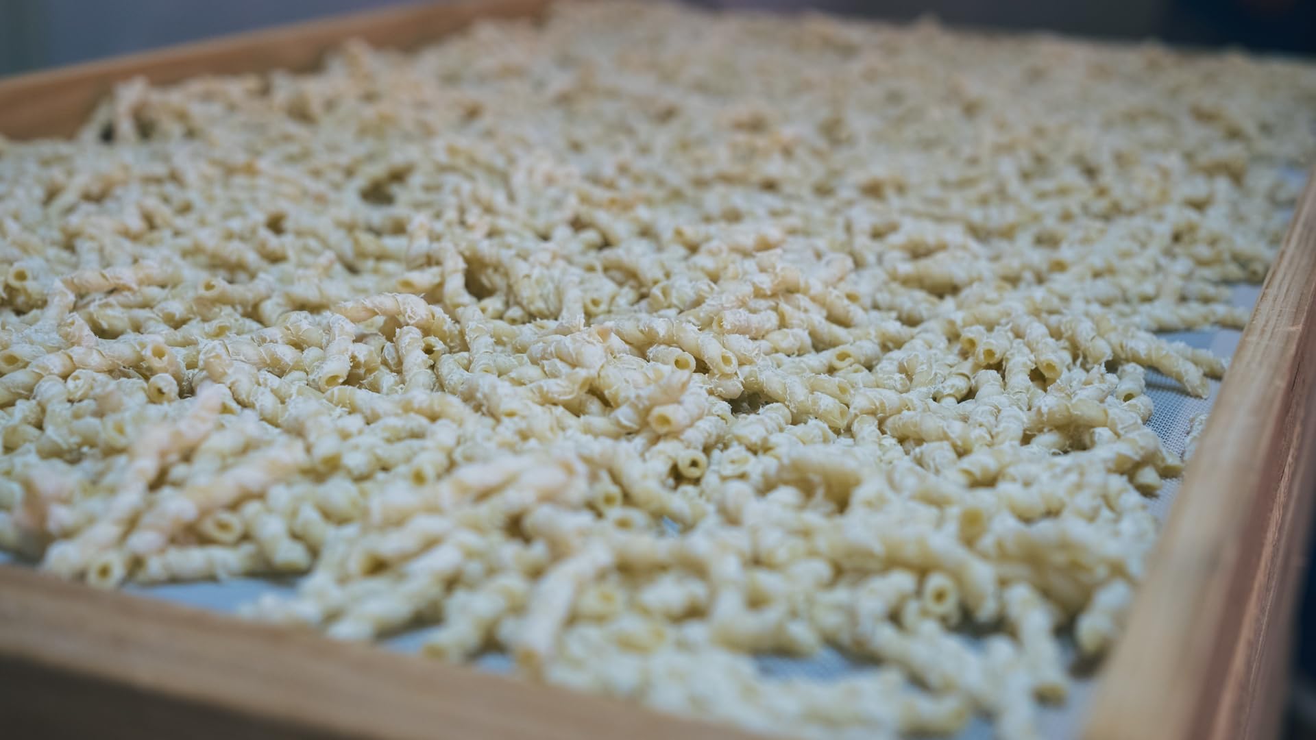 Terramia Busiate di Grano Duro Siciliano – Pasta Artigianale Trafilata al Bronzo, Lenta Essiccazione a Bassa Temperatura, Formato Maxi Scorta Famiglia 4kg (8 Buste x 500g)