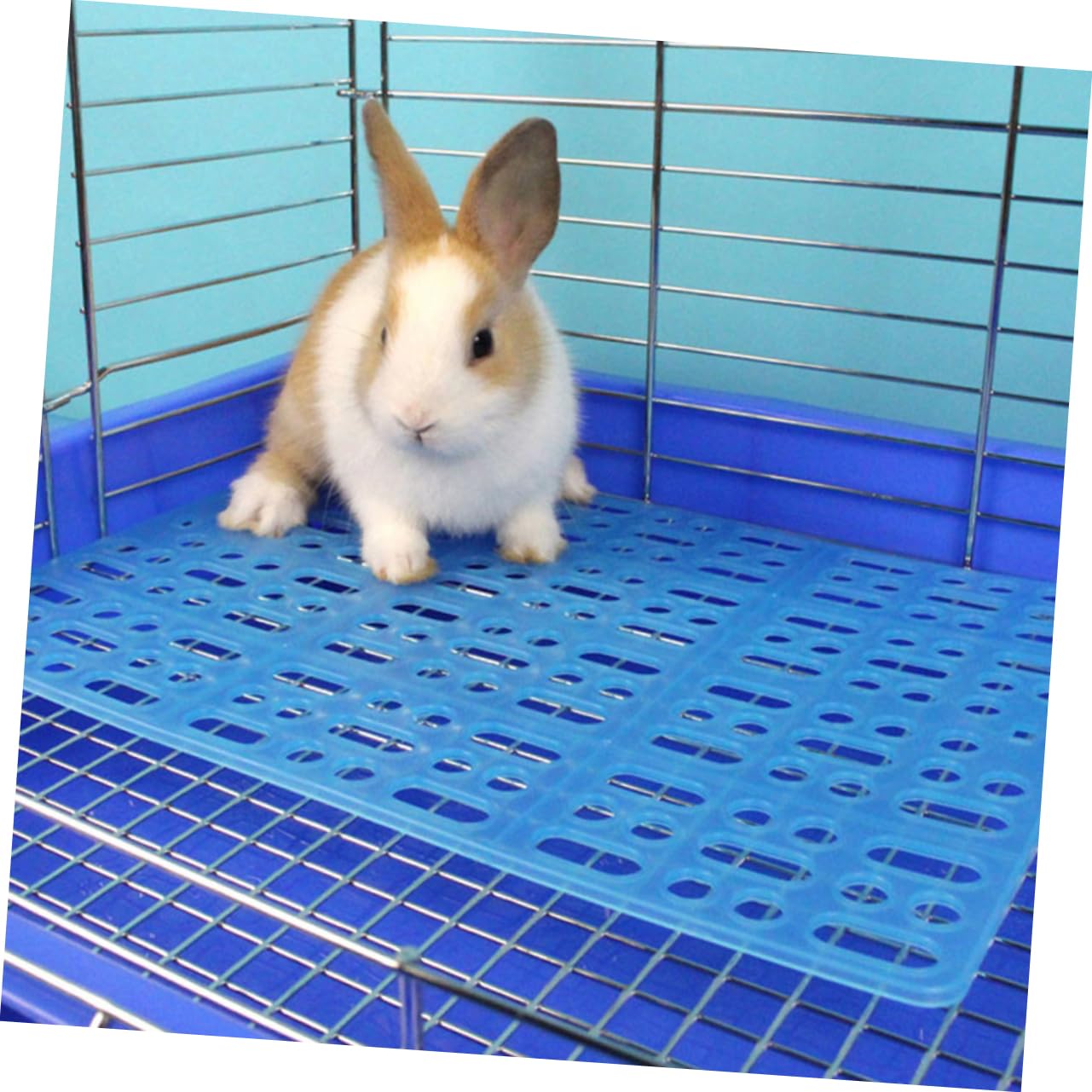 Pack Bodenmatte für Kaninchenkäfige aus Abs Kleintiermatten mit Pfotenschutz Pflegeleicht Passend für Hasenstall Zubehör Draußen 6 Stück