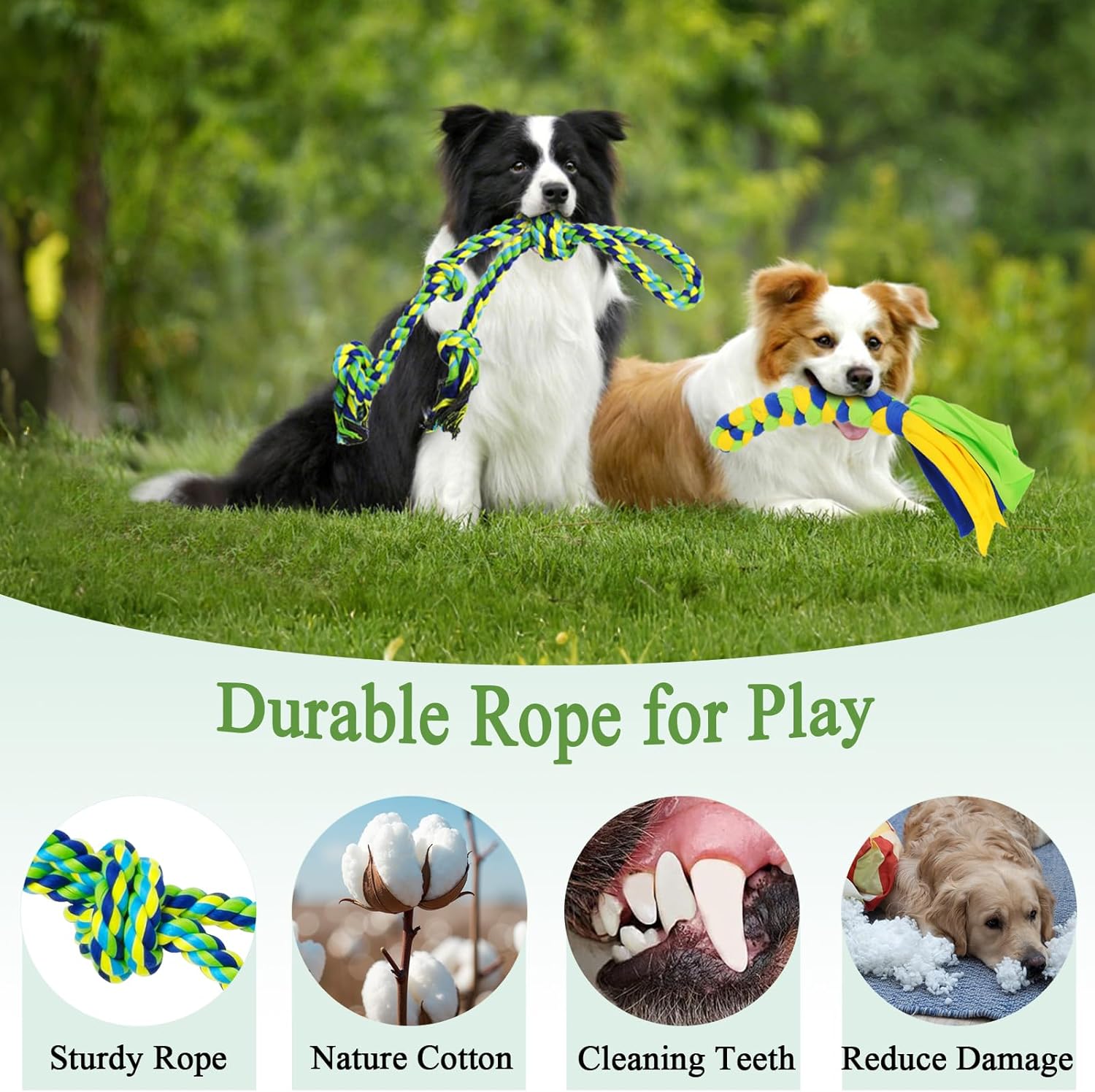 Puppy Play Gym with 8 Hanging Toys for Teething &Chewing, Outdoor Dog Toy Interactive Activity Center for Small Dogs to Relieve Boredom & Anxiety, Indoor Enrichment Toys to Keep Them Busy