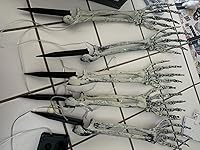 Review Image by Fran Fran