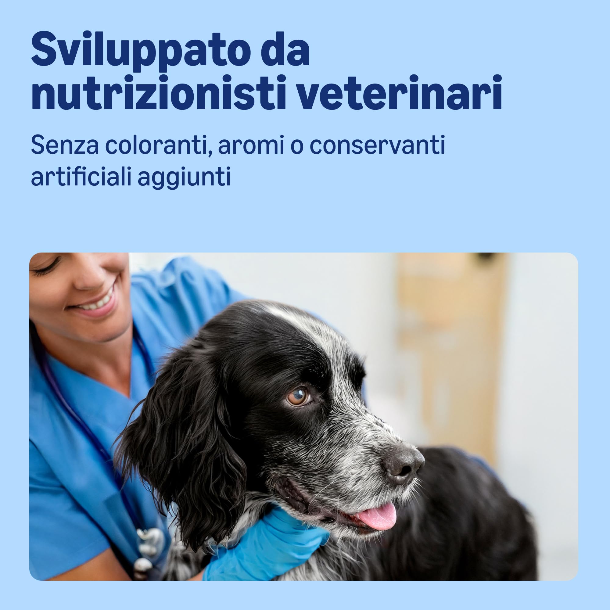 by Amazon, Cibo Umido per Cani, Paté di Manzo, 300g, Confezione da 10