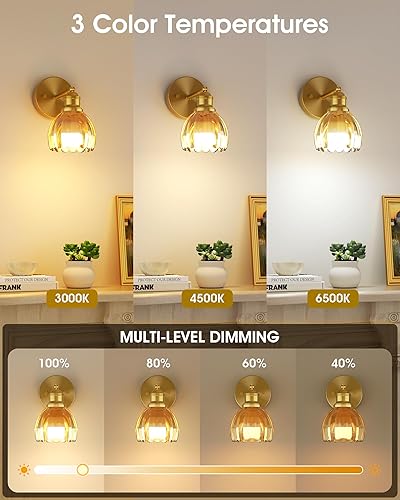 Miniatura 3 de VOLISUN Apliques de pared vintage que funcionan con pilas, con pantalla de cristal de tulipán ámbar, juego de dos apliques de pared inalámbricos,