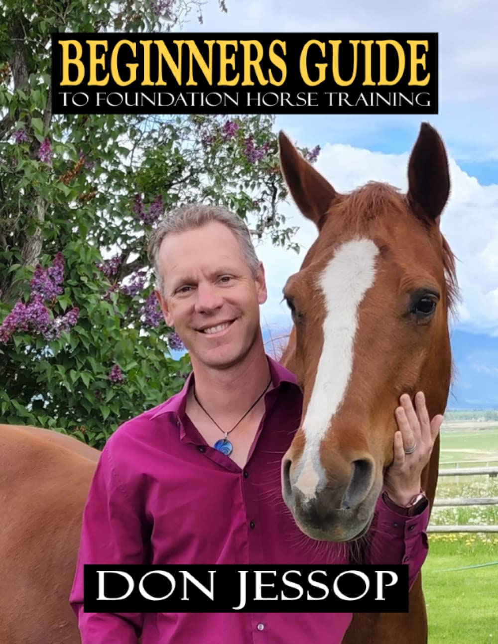 Beginners Guide: To Foundation Horse Training      Paperback – July 3, 2022