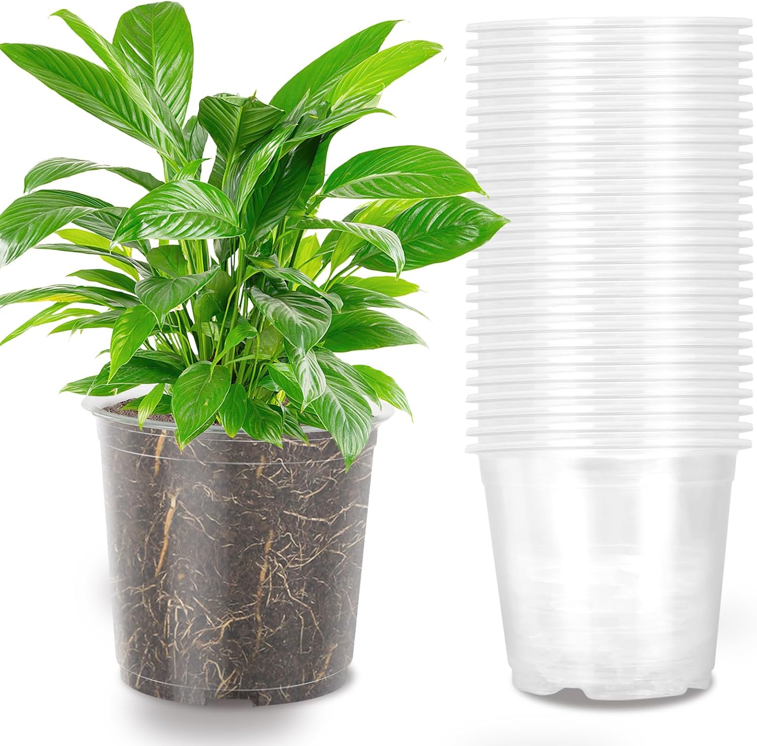 OUPSAUI 36 Pack 7 Inch Clear Nursery Pots, 1 Gallon Clear