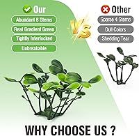 Vista 2 de KASZOO Pared de Césped Paquete de 24 Paneles de Pared de Seto de Boj Artificial de 20"x20", Pantalla de Seto de Privacidad Boj Falso